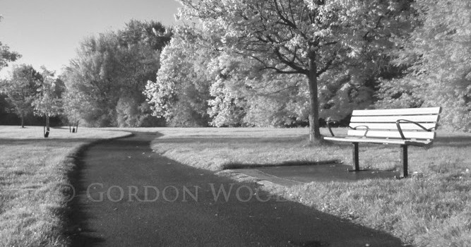 Infrared Photography on the Cheap